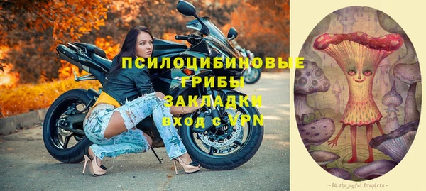 дживик Осинники