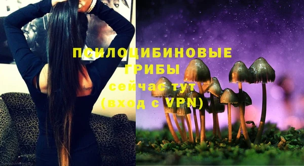 дживик Осинники