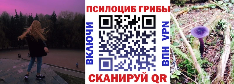 где купить наркотик  Ростов-на-Дону  Галлюциногенные грибы ЛСД 