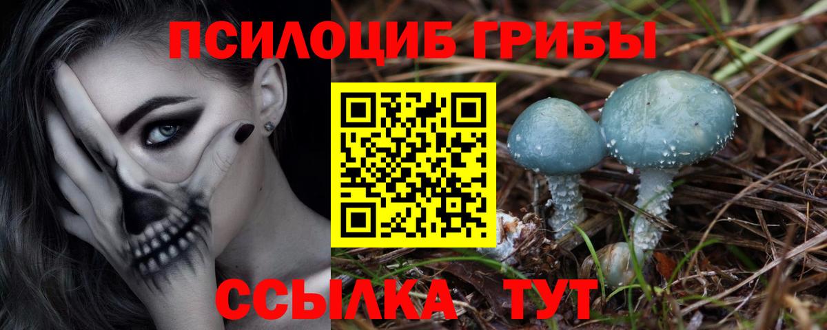 Галлюциногенные грибы Magic Shrooms  Вход с VPN  Галлюциногенные грибы Magic Shrooms  Ростов-на-Дону 